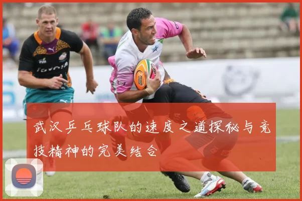 武汉乒乓球队的速度之道探秘与竞技精神的完美结合