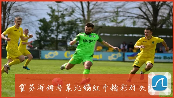 霍芬海姆与莱比锡红牛精彩对决视频回顾与分析