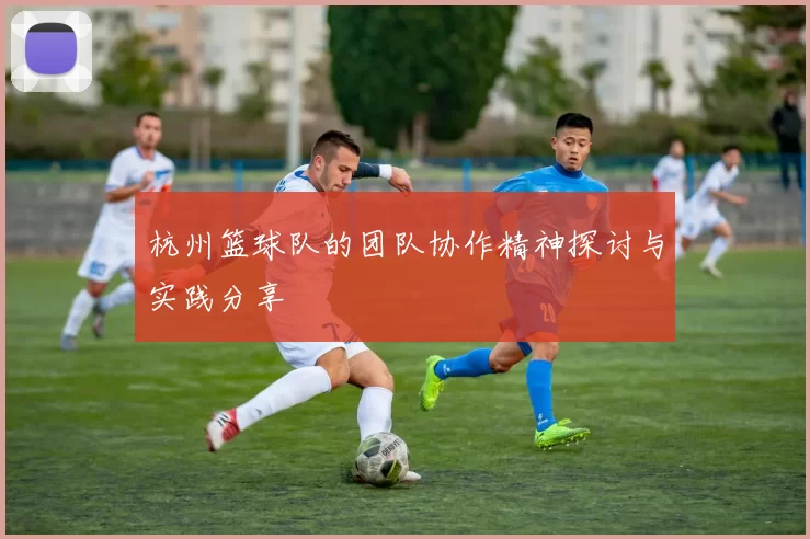 杭州篮球队的团队协作精神探讨与实践分享