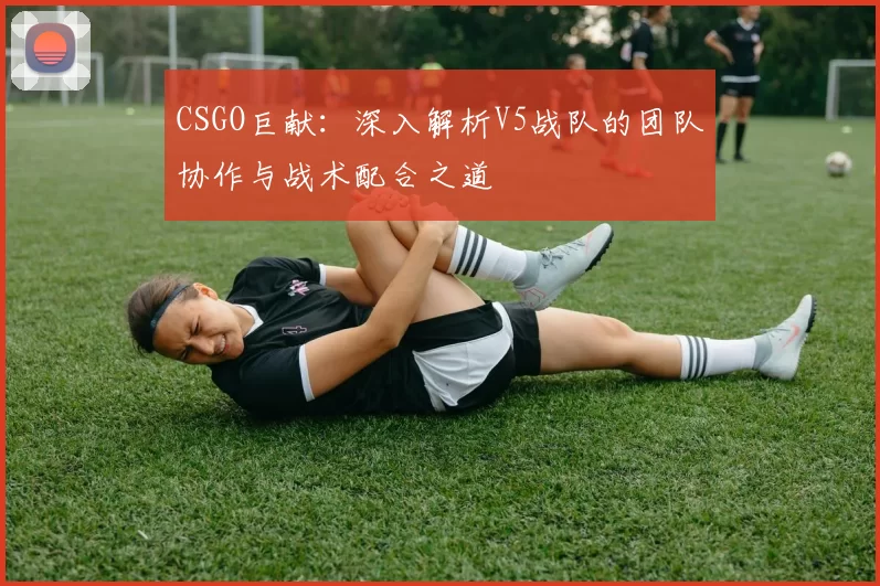 CSGO巨献：深入解析V5战队的团队协作与战术配合之道