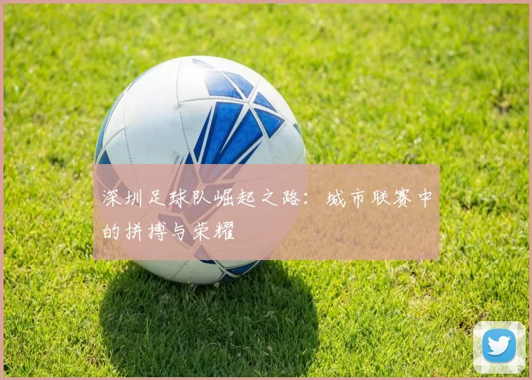 深圳足球队崛起之路：城市联赛中的拼搏与荣耀