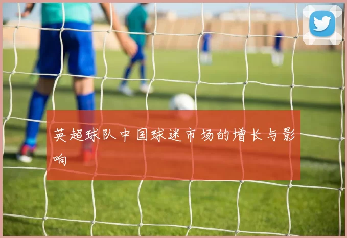 英超球队中国球迷市场的增长与影响