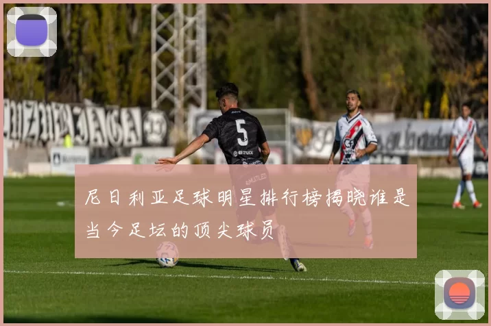尼日利亚足球明星排行榜揭晓谁是当今足坛的顶尖球员