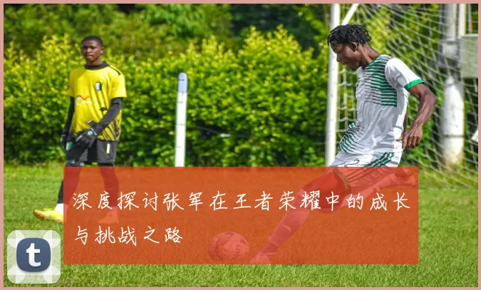 深度探讨张军在王者荣耀中的成长与挑战之路