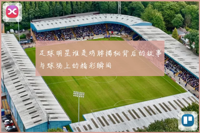 足球明星谁是鸡脖揭秘背后的故事与球场上的精彩瞬间