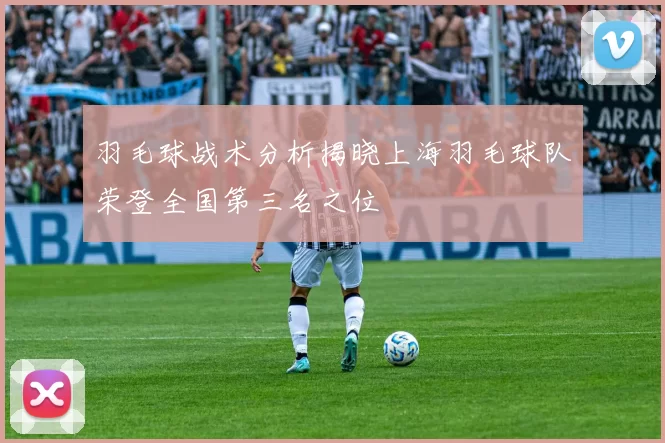 羽毛球战术分析揭晓上海羽毛球队荣登全国第三名之位
