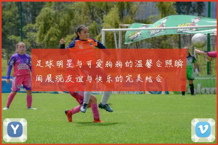 足球明星与可爱狗狗的温馨合照瞬间展现友谊与快乐的完美结合