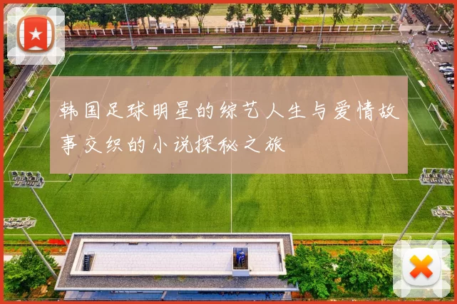 韩国足球明星的综艺人生与爱情故事交织的小说探秘之旅