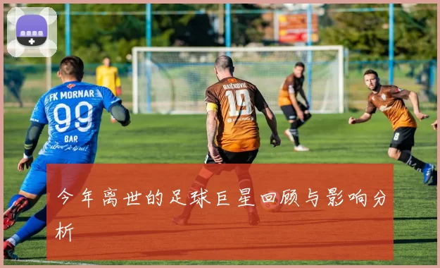 今年离世的足球巨星回顾与影响分析