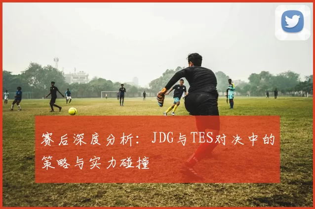 赛后深度分析：JDG与TES对决中的策略与实力碰撞