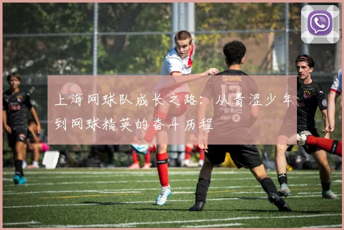 上海网球队成长之路：从青涩少年到网球精英的奋斗历程