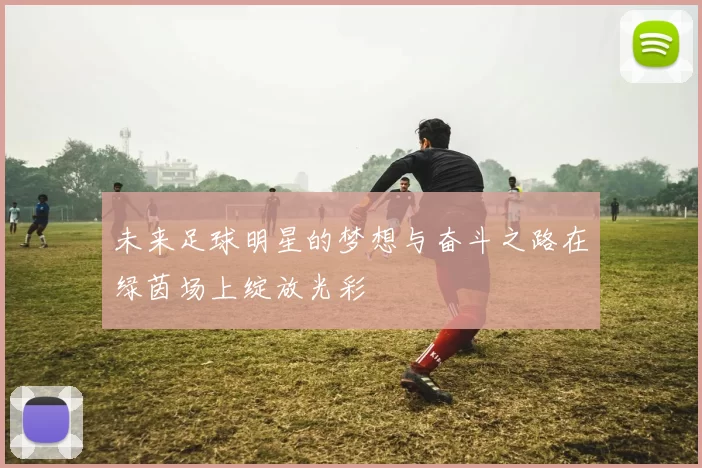 未来足球明星的梦想与奋斗之路在绿茵场上绽放光彩