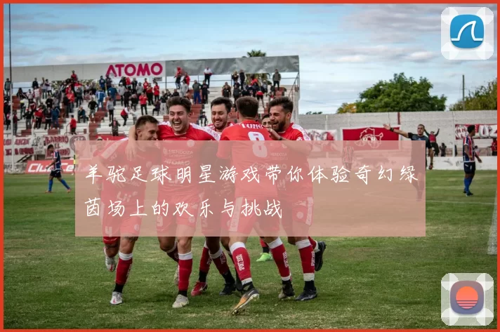 羊驼足球明星游戏带你体验奇幻绿茵场上的欢乐与挑战