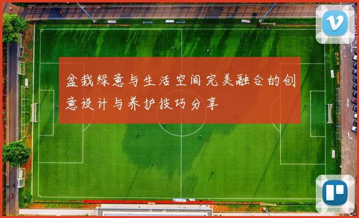 盆栽绿意与生活空间完美融合的创意设计与养护技巧分享