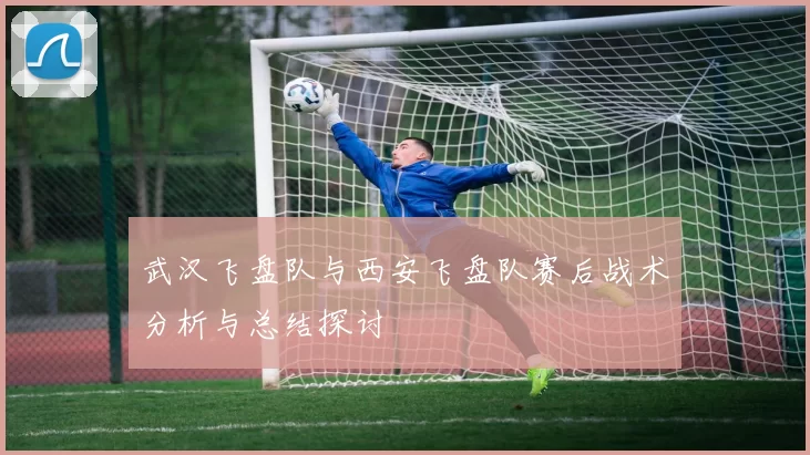 武汉飞盘队与西安飞盘队赛后战术分析与总结探讨
