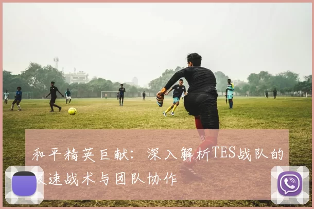 和平精英巨献：深入解析TES战队的极速战术与团队协作