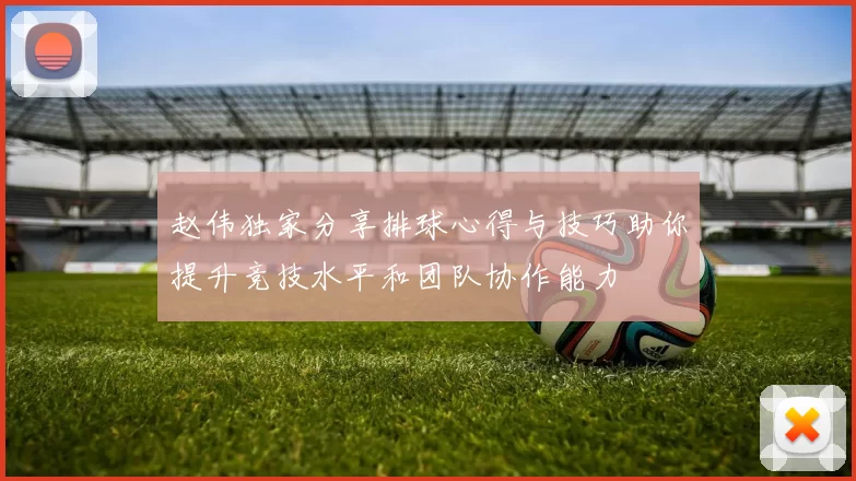 赵伟独家分享排球心得与技巧助你提升竞技水平和团队协作能力
